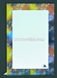 UFM-041