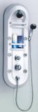 Shower Panel